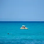 Sunny Tessera *