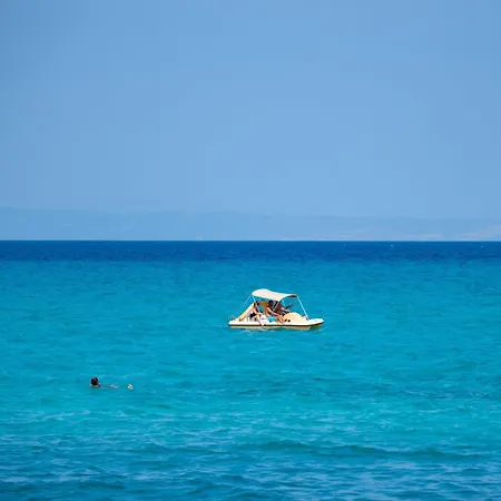 Sunny Tessera *